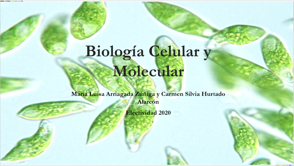 https://www.colegiosanagustin.cl/wp-content/uploads/2019/12/Biología-celular-III-medio.png